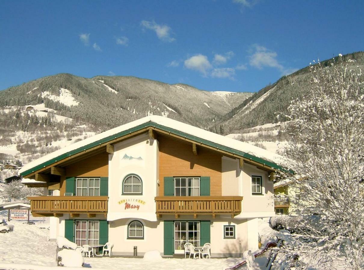 Appartements Mary Inklusive Tauern-Spa Kaprun Eksteriør billede